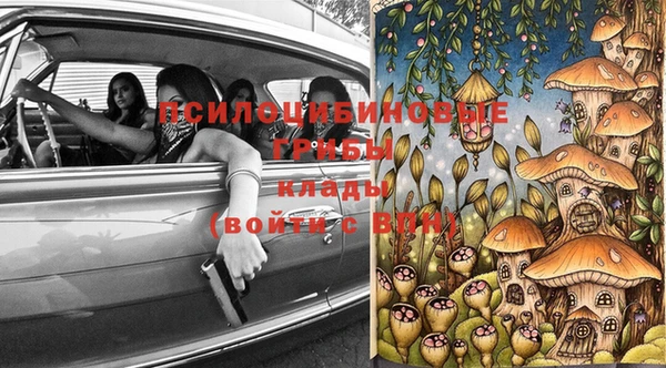 мяу мяу мука Магас