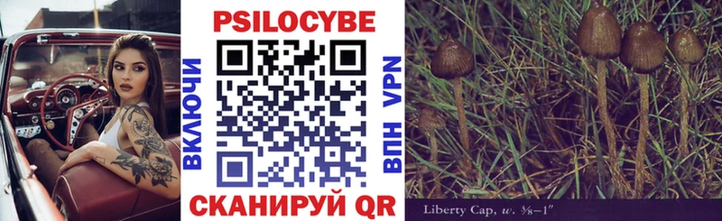 Псилоцибиновые грибы мухоморы  Купить закладки  Братск 